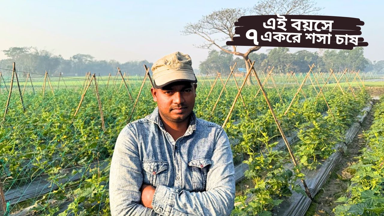 কৃষি মানেই বিজ্ঞান কৃষি মানেই অংক কৃষি মানেই হিসাব || সৈনিকের ৭ একরে শসা  || cucumber.