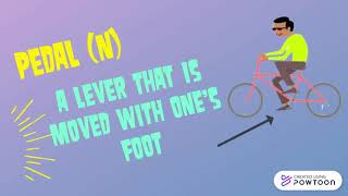 Greek and Latin Roots: PED/POD Wealth