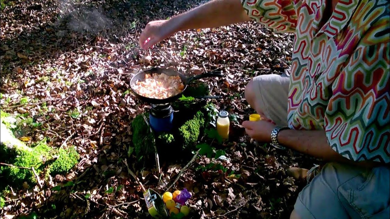 Foraging For Mushrooms And Cooking In The Woods