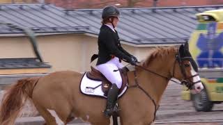 Hellsten Siiri Leon Ii 110Cm Ratsastuskeskus Aino 20.-22.4.2018