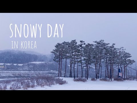 벌써 그리운 눈 오는 날의 모습/겨울 브이로그/눈 내리는 영상/겨울 풍경/Winter Vlog/아이폰 카메라