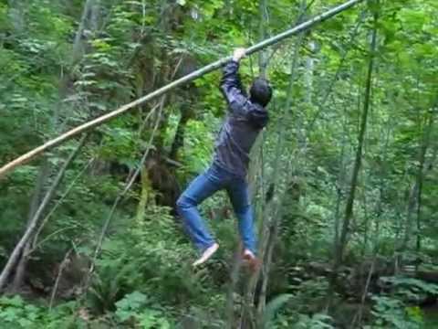 accident snap climbing tree