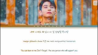 Cha Eun Woo (차 은 우) - 