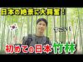 初めての日本竹林｜韓国人が感動する絶景スポット！