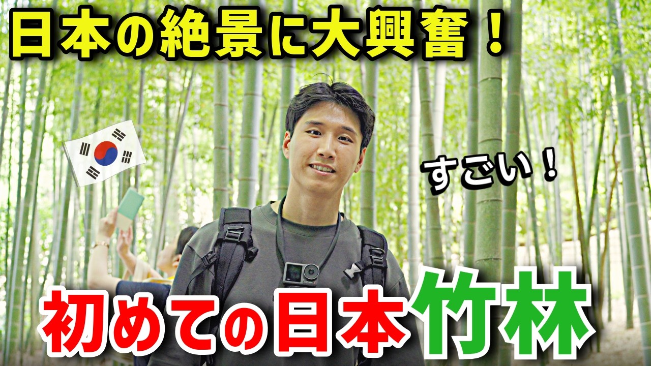 初めての日本竹林｜韓国人が感動する絶景スポット！