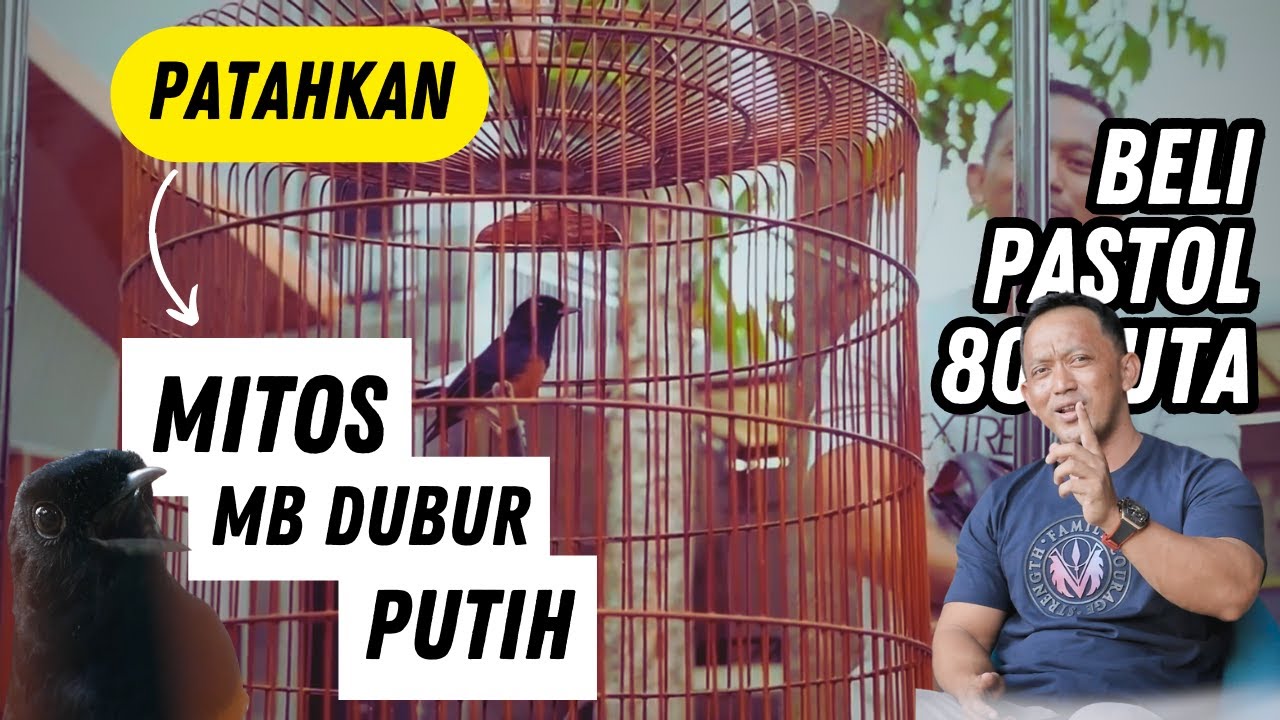 Rahasia Murai Batu Casablanca 