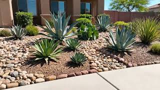 Phoenix Front Yard Landscaping Mistakes Raising Water Bills and How Pros Fix Them