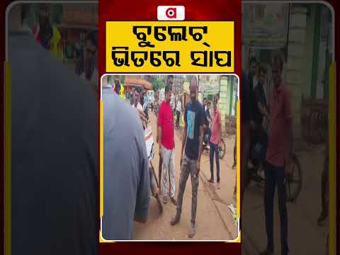 ବୁଲେଟ୍ ଭିତରେ ସାପ | Snake Rescue | Snake In Bullet | Snake Video | Argus News