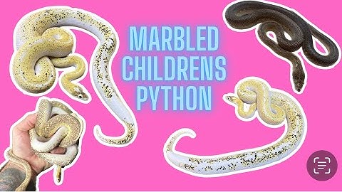 Marbled Children