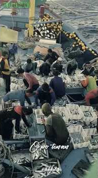 story wa nelayan juwana