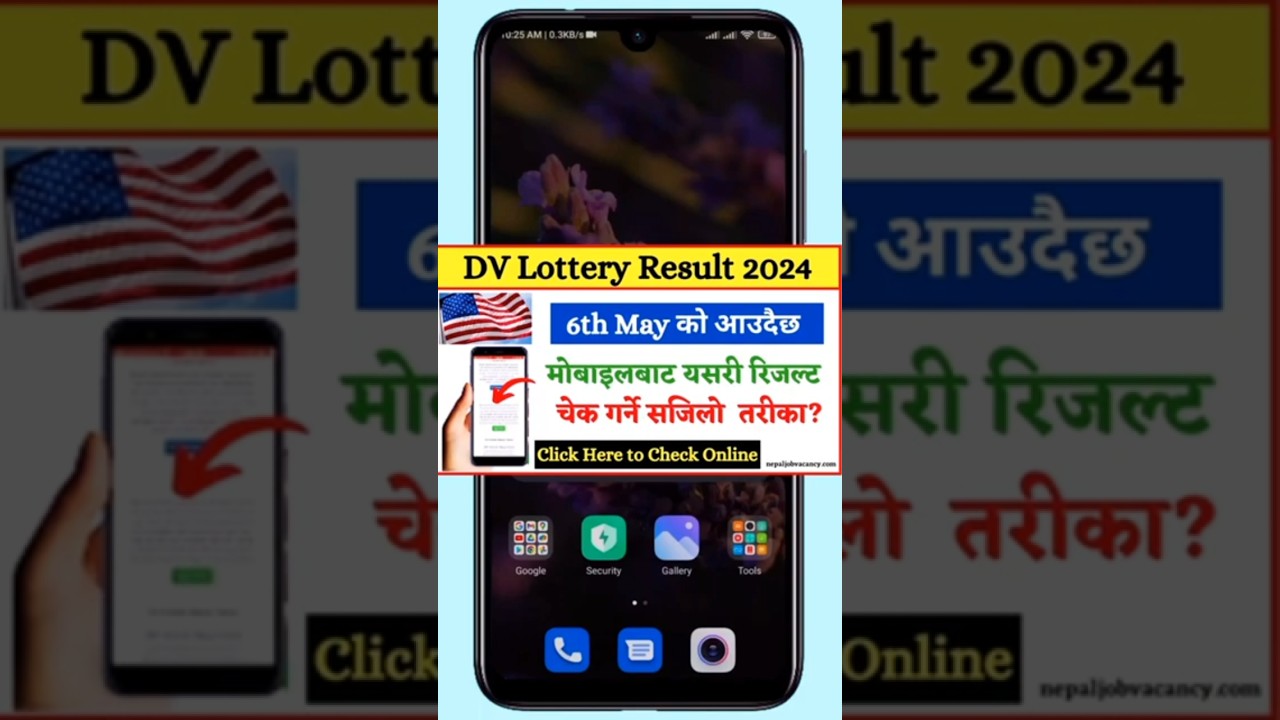 How To Check DV Result 2026 | How To Check DV Lottery 2026 Online | EDV Check From Mobile 