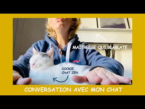 Conversation avec mon chat - Chat 31