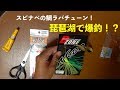 爆釣！スピナベの鯛ラバチューン。スピナベカーリーの作り方。