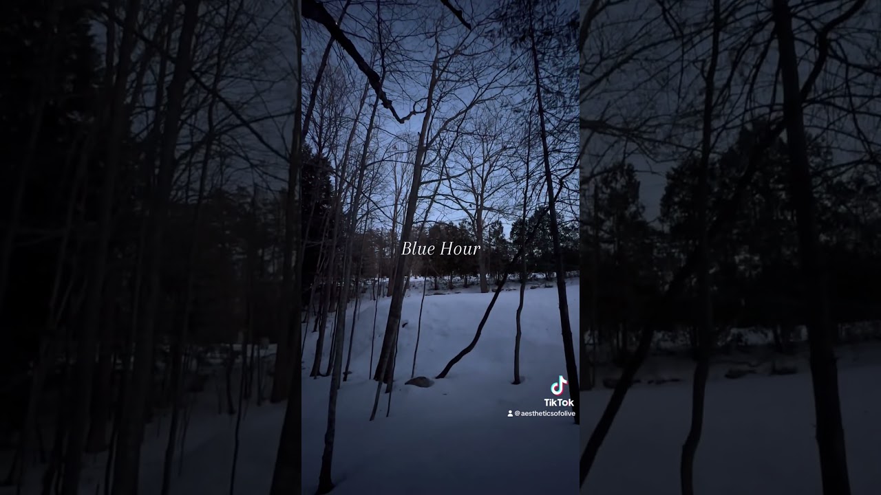 Blue Hour in New England | Aesthetics of Olive