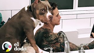 Perro quiere hacer TODO con sus papás I El Dodo