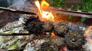 【大人BBQ】高級ウニと巨大カキを殻のまま大量に焚火にブチ込む料理!!