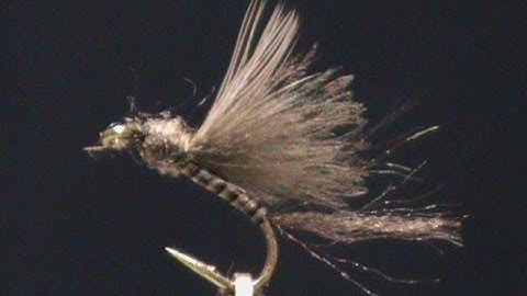 FlyTying a Quill Body CDC Emerger Dun with Jim Misiura