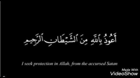 قرآن كريم .. آيااات من سورة النمل . محمد البكري أبو همام