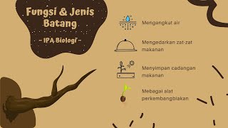 Struktur Dan Fungsi Batang Pada Tumbuhan, Mapel IPA Materi Biologi Struktur Tumbuhan dan Fungsinya