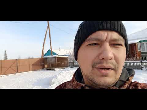 Video: Хаски күчүгү канча турат