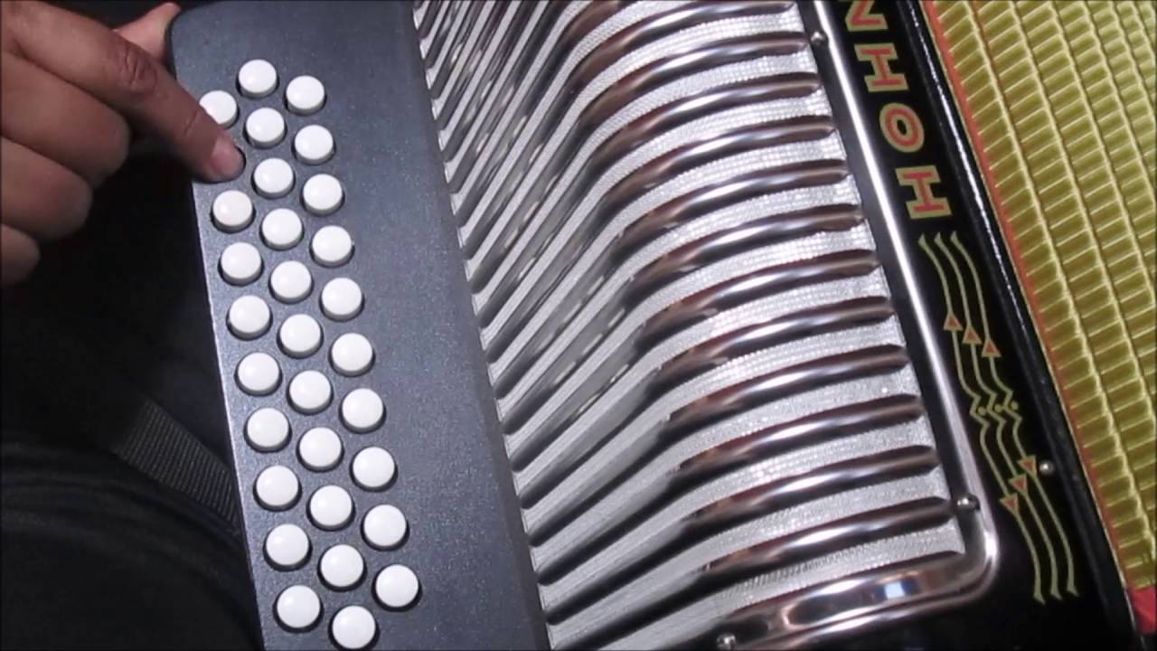 flor de capomo carlos y jose tutorial slow facil #acordeon panther sol principiantes #music #shorts