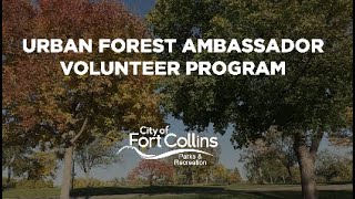 Urban Forest Ambassador Volunteer Program