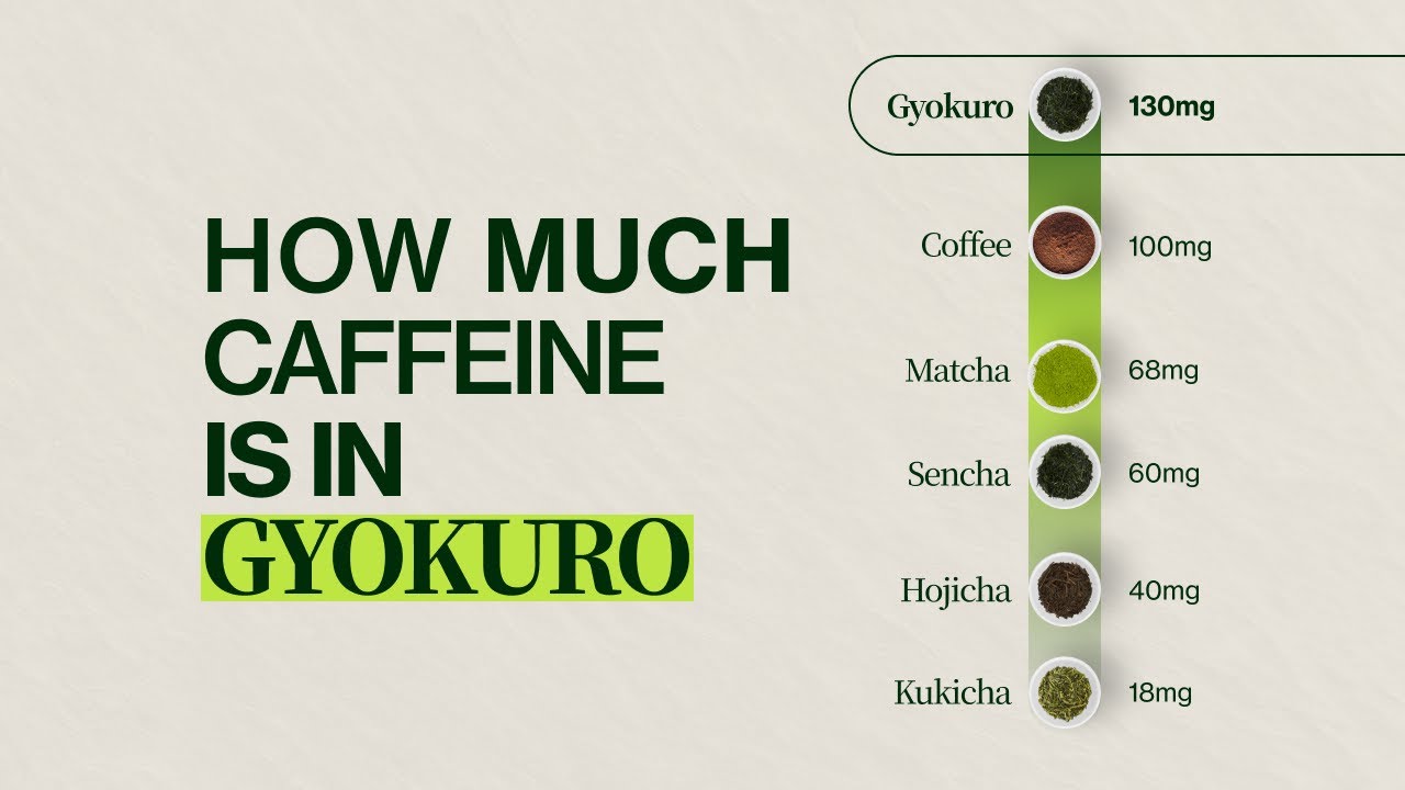 How Much Caffeine is in Gyokuro Tea? Caffeine Content of Gyokuro Green