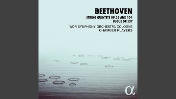 String Quintet in C Major, Op. 29: I. Allegro moderato