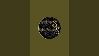 Remaining hatchlings 2023 and giveaway updated