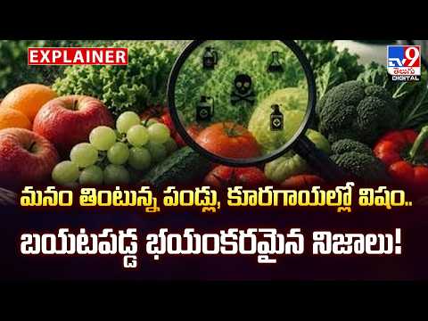 Explainer: మనం తింటున్న పండ్లు, కూరగాయల్లో విషం.. బయటపడ్డ భయంకరమైన నిజాలు! | Health Alert   -TV9 - TV9