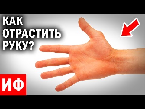 КАК ОТРАСТИТЬ новую РУКУ #ИФ