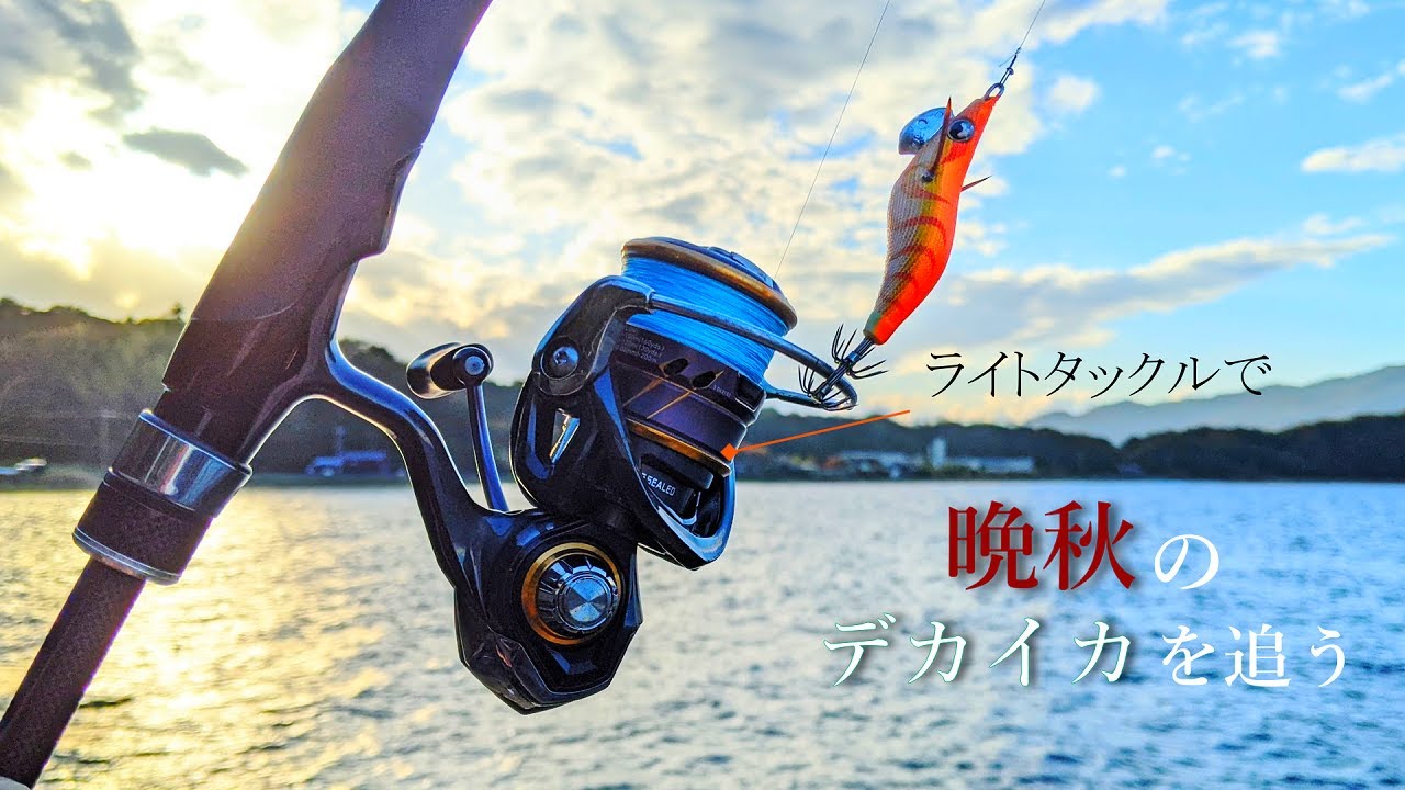 【ライトエギング】エギングシーズンは、まだ終わらない。