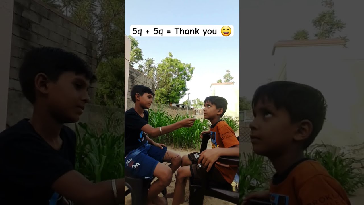 What Is 5q Thesilentteacher1415
