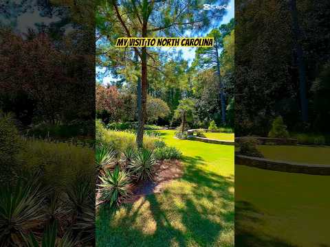 North Carolina ماكولات ابو كر كرم اكسبلور طبخ وصفات Cooking Delicious Food Shorts Yt 