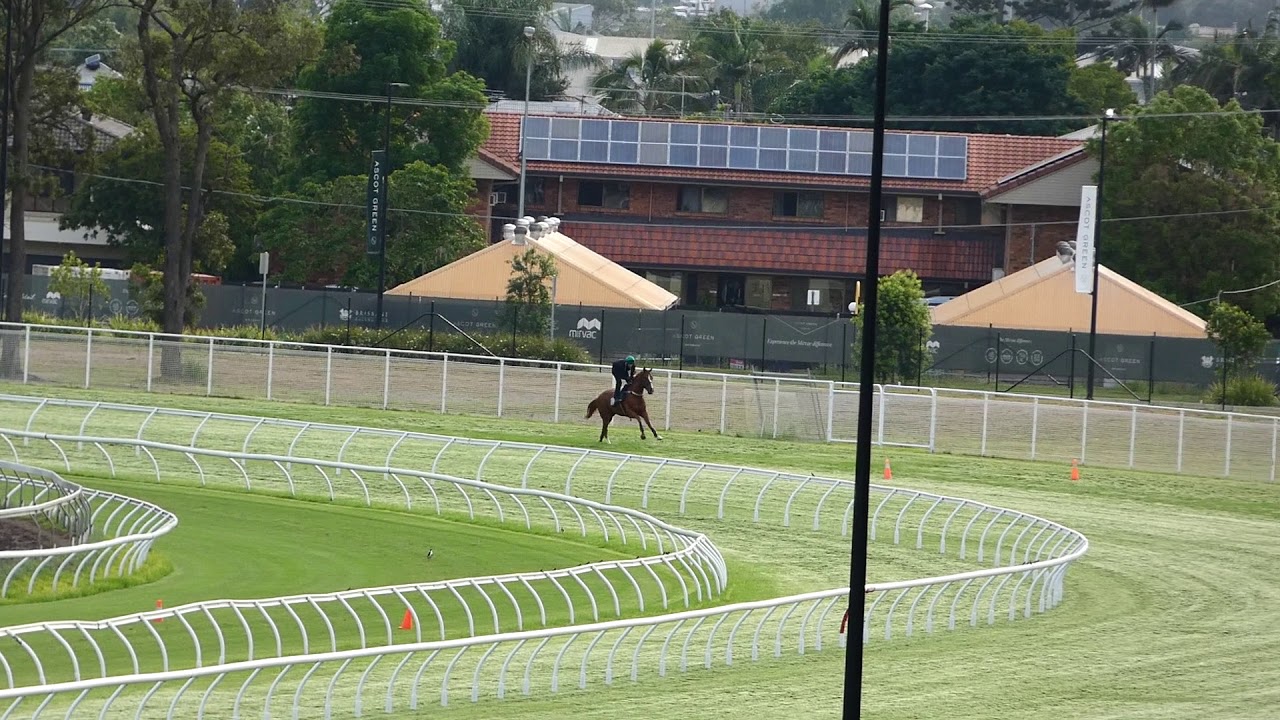 EAGLE FARM COURSE PROPER GALLOP 3 7/1/2020 YouTube