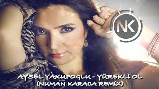 Aysel Yakupoğlu - Yürekli Ol(Numan Karaca Remix) Resimi