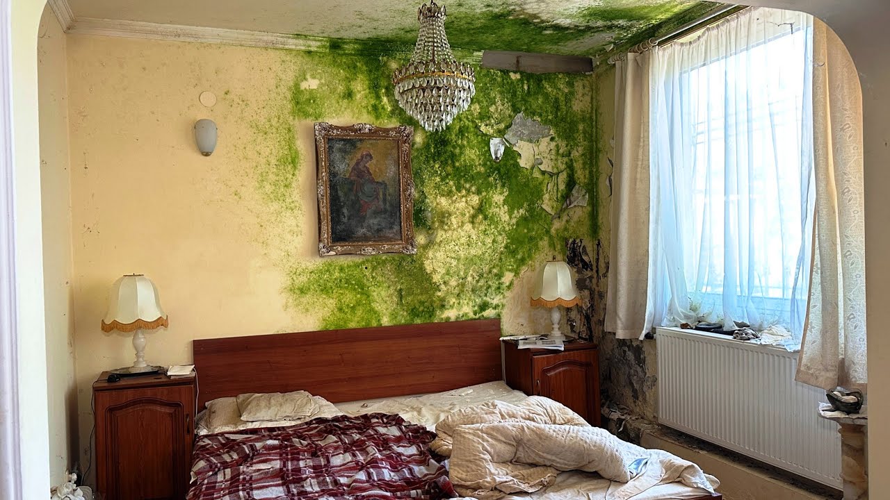 A "Rohadás" VILLA🤢😱 - MINDENT HÁTRAHAGYVA 19.