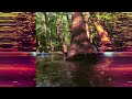 Congaree National Park 4.16.25
