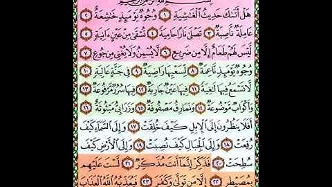 قراءة سورة الغاشيه بأحكام التجويد