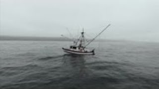 Off the hook: California king salmon rebounds after drought