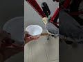 Delícia essa água.