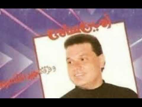 لاء والف لاء امين سامى سنجل 1993