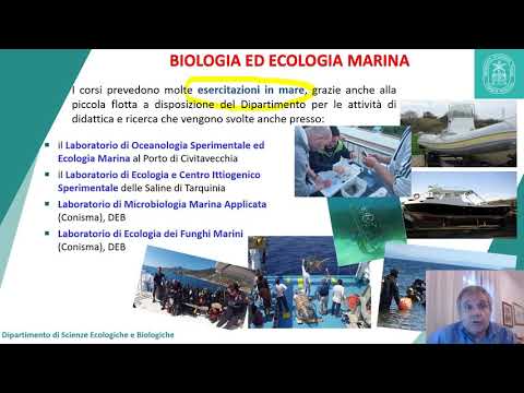 Video: Che cos'è l'ecologia marina e costiera?