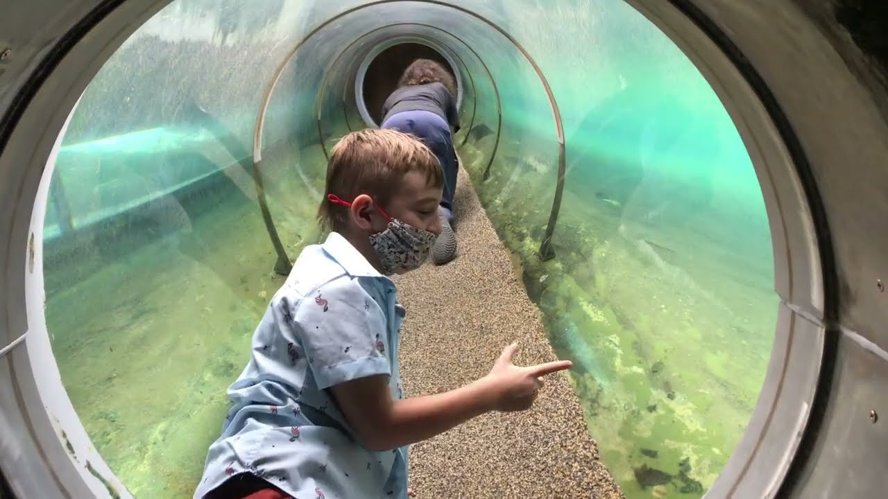 Zoo Miami 2021 07 10 10 11 26