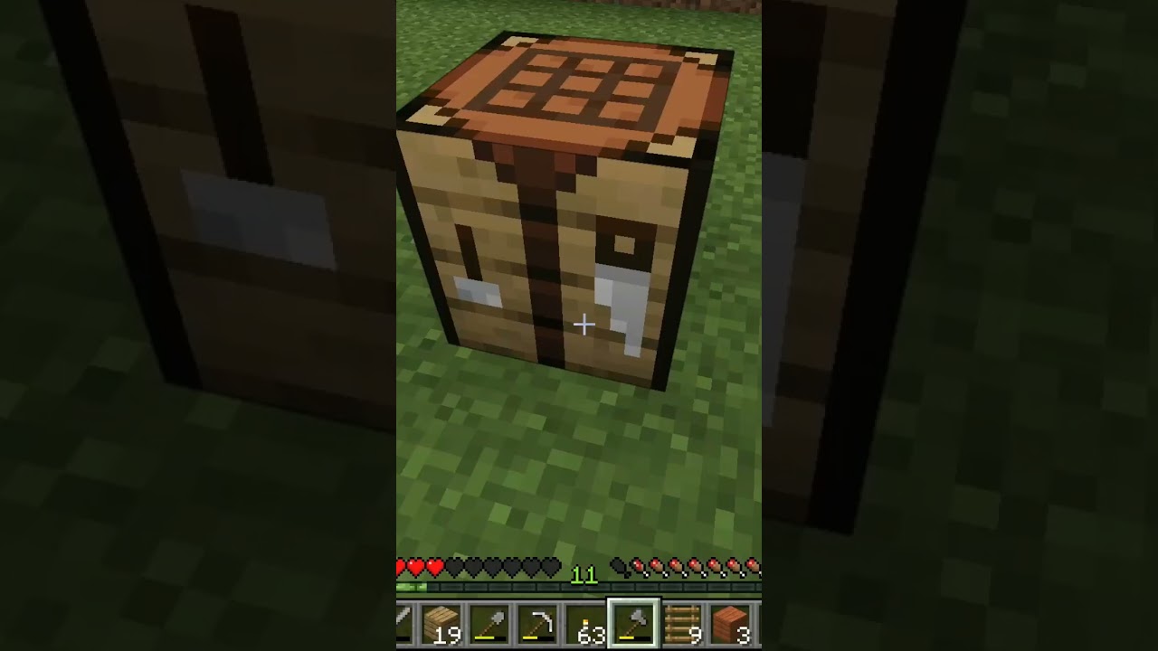 MINECRAFT Anti gaming