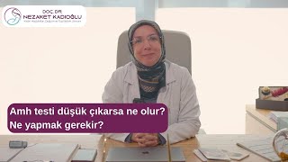 Amh Testi Düşük Çıkarsa Ne Olur? Ne Yapmak Gerekir?