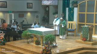 Sunday Mass 07-19-2026