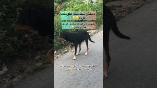 نیازبه درمان وجراحی🙏6037997143677632