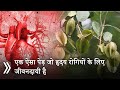 Heart अटैक का इलाज़ मात्र 15 रूपये में | Treatment of a Heart Attack Without Cost