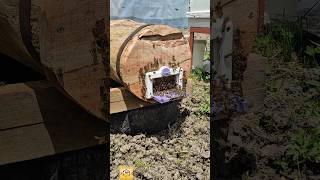 Kara Kovan Yapım Aşaması Ve Arılandırma İşlemi Çok Eğlenceli Ve Keyifliydi